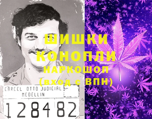 крисы Сясьстрой