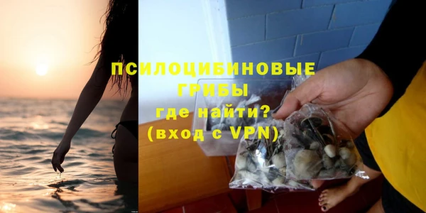 крисы Сясьстрой