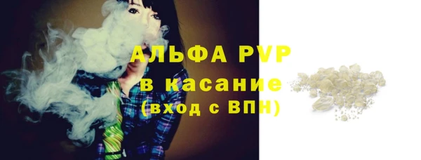 крисы Сясьстрой