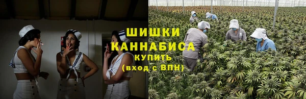 крисы Сясьстрой