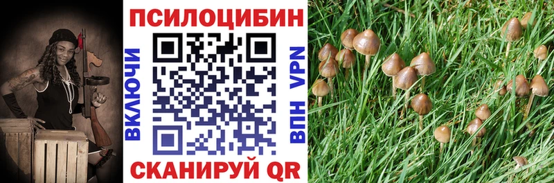даркнет сайт  Шарья  Псилоцибиновые грибы прущие грибы 